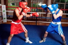 1_boks-17