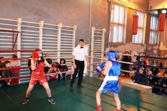 boxing_tn006